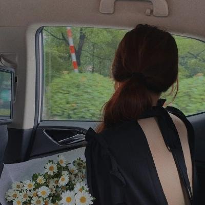 母女菀